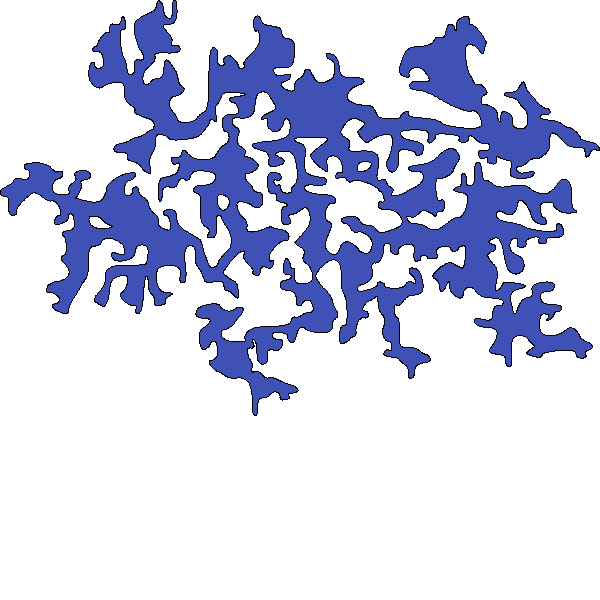 Polygon image