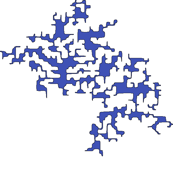 Polygon image
