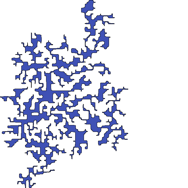 Polygon image