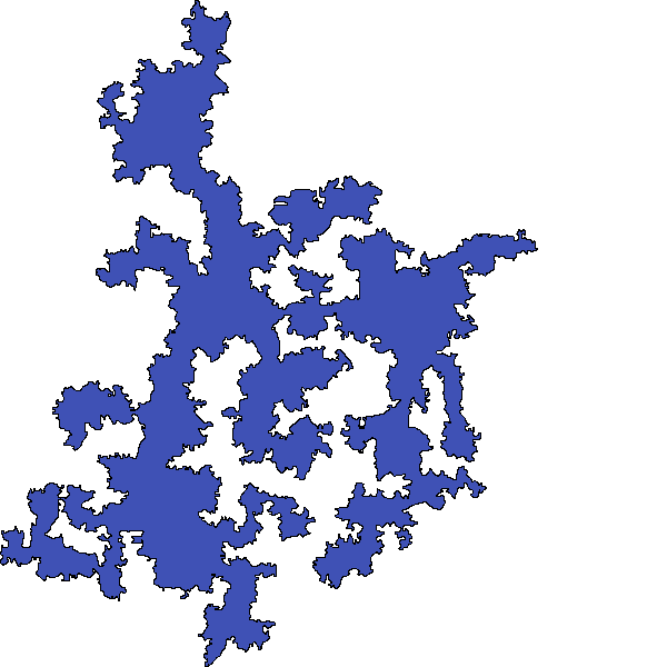 Polygon image