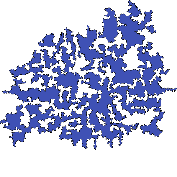 Polygon image